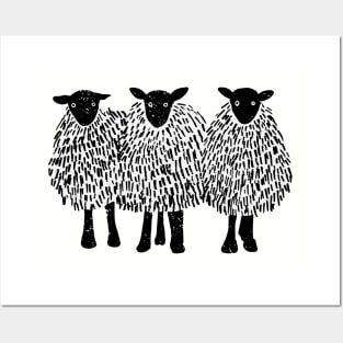 Triple sheep Posters and Art